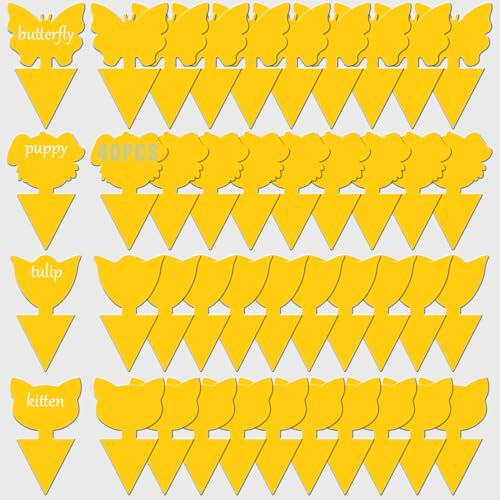 Bxlive Fruit Fly Traps, Sticky Fly Traps Indoor Plant, Double-Sided Fungus Gnat Killer, Insects Fly Control - Non-Toxic - Strongly, Waterproof for Fruit Flies, Fungus Gnat & Whitefly - 40 Pcs