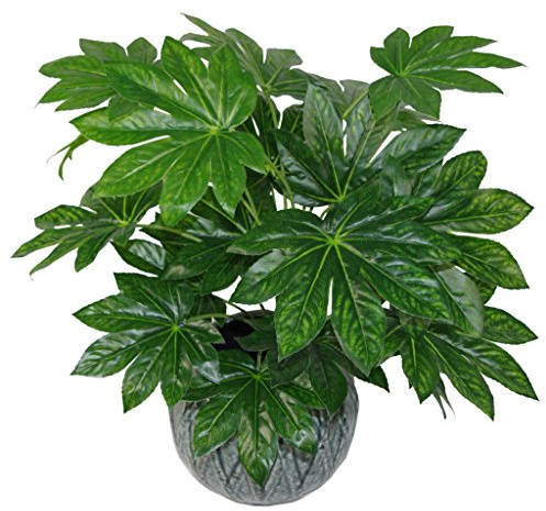 Leaf Design UK - Pianta artificiale realistica con vaso
