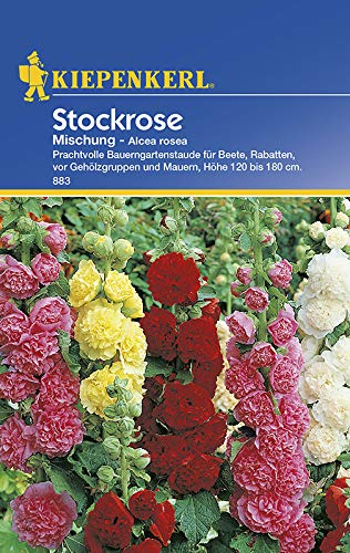 Kiepenkerl 883 Stockrose Mischung (Stockrosensamen)