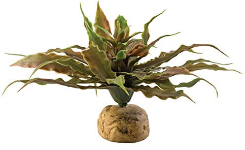 Exo Terra Star Cactus