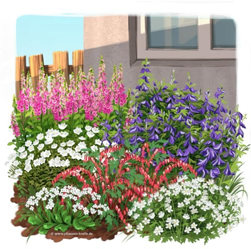 Schattenstauden Set, 18 Pflanzen für 3 m², bunt