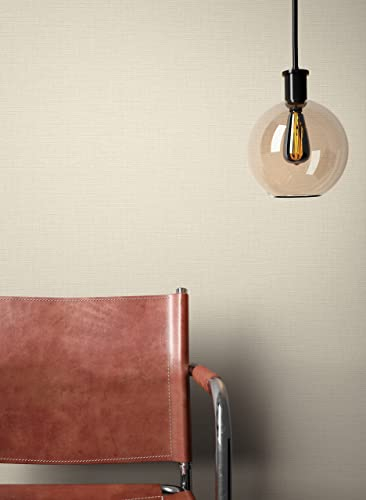 NEWROOM Papier peint Taupe Couleur Unie Intissé - Couleurs Unies Gris Beige Textile Texture Moderne