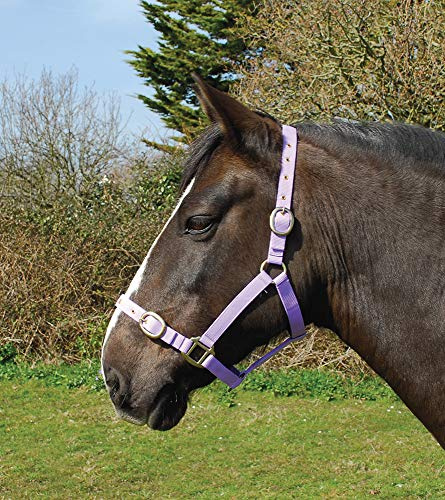Rhinegold Cavezza Nylon-Pony-Lilla, 0
