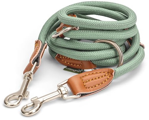 Leisegrün Hundeleine für kleine Hunde | 2 Meter | 3fach verstellbar | Nur 160 g leicht | Führleine 2m | Salbeigrün