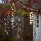 Lights4fun 480er LED Cluster Lichterkette warmweiß strombetrieben Lichterkette Außen mit Stecker Weihnachtsbaumlichterkette Außen Weihnachtsbeleuchtung Außen LED Baumbehang