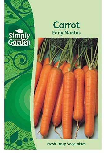 Simply Garden Carrot Early Nantes Fresh Vegetable Seeds Grow Your Own Garden