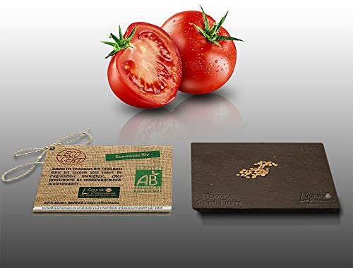 50 graines Bio à semer - Le Grenier d'Abondance - TOMATE Saint-Pierre - Certifié AB - Solanum lycopersicum