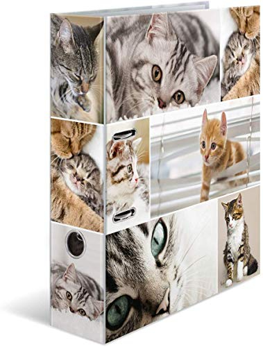 HERMA Ordner A4 Katzen, 7 cm breit, Kinder Ringordner mit Tier Motiv, bunter Aktenordner mit Innendruck für Jungen und Mädchen