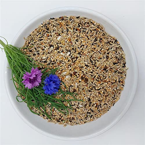 Bird-Box Sperlingspapageienfutter Spezial Inhalt 5 kg