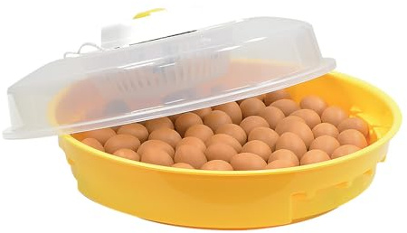 Brutkastenhandel Incubateur Pour Reptiles Et Tortues, Incubateur Automatique Pour Armoire, Appareil De Couveuse Avec Capot Transparente, Plage De Température 25 À 40°C