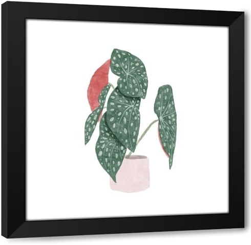ArtDirect Polka Dot Begonia I Custom Framed Art Print Giclee Print or Canvas Options with Various Sizes and Customization by Bannarot