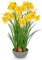 Hollyone 15.7'' Yellow Artificial Flowers, Fake Daffodils Decorative Faux Flowers in Pot, Silk Artificial Daffodil Flowers for Home Decor, Living Room, Bathroom, Windowsill, Table, Spring Decorations