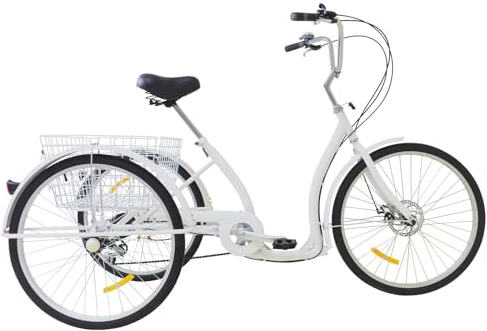 ARBGO Bicicletta da 26 pollici, a 3 ruote, 6 marce, per adulti, triciclo con cestino, capacità di carico 120 kg, per shopping, viaggi, picnic