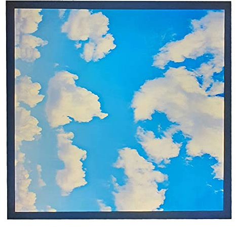 48W Sky Cloud Pattern LED Flat Slim Ceiling Recessed Panel Light 600 x 600mm Office Lighting (1x)