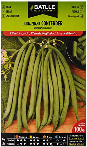 Semences Battle Graines de haricots 100g, vert