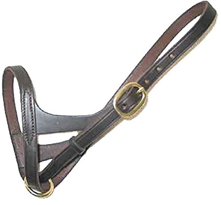 Intrepid International Leather Foal Slip Halter