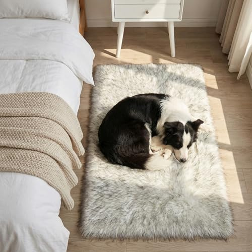 Mishukaze Plush Faux Sheepskin Rug-Ultra Soft Fluffy Bedside Carpet,Machine Washable Anti Slip Floor Mat,Silky Shag Area Rug for Bedroom,Living Room & Kids Room Decor,Gray Tip 60x90