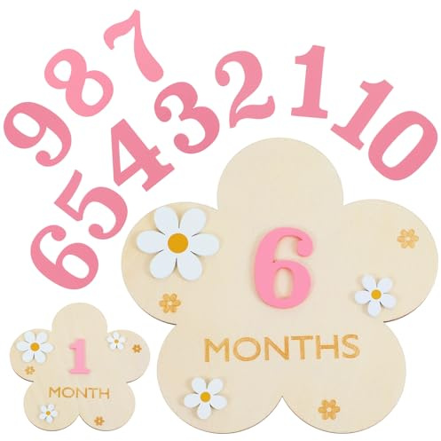 3D Baby Monthly Milestone Markers Disc, Milestone Wooden Circles for Baby Photos, Babies Announcement Sign, Babies Months Signs, 1-12 Month Milestones Cards