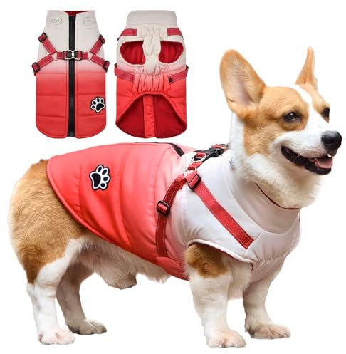 Savlot Wasserdicht Hundemantel Warme Fleece gefüttert Warme Winterjacke Hunde Bekleidung für Winter Reflektierend Welpen Winterweste (L, Rot)