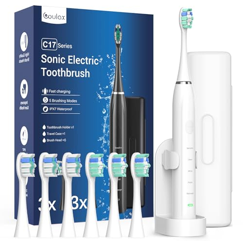 Brosse à dents électrique pour adulte - Brosse à dents sonique avec 6 têtes de brosse, une charge de 60 jours, 5 modes avec minuterie de 2 minutes, brosses à dents électriques Sonic