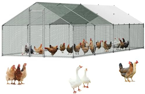 VEVOR Kycklinghus i metall, 10 x 8 x 2,0 m stora kycklingkörningar med lock, spira tak, höna husinhägnad med säkerhetslås, utomhus anka kaninbur fjäderfäpenna för trädgård, bondgård, gård
