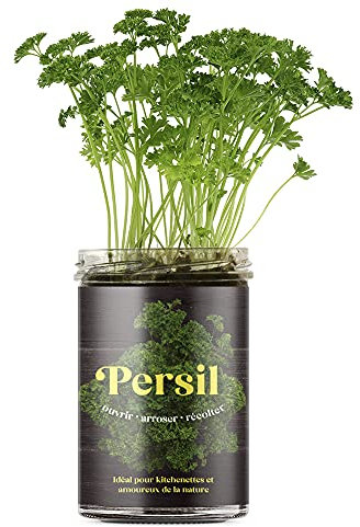 Resetea | Potagers de cuisine | Persil