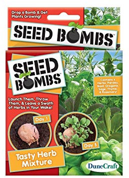 Semi Semi di GERMINAZIONE: Box by Seed Bombs Delizioso Mix di Erbe Prezzemolo Basilico Origano Salvia Timo e Rosmarino