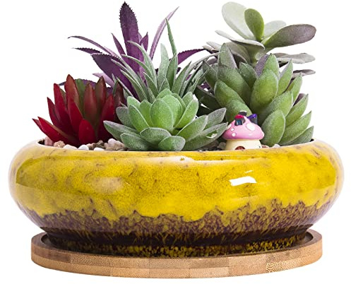 ARTKETTY Vaso per Piante Grasse, Vaso Bonsai Grande con Vassoio di Drenaggio in Ceramica per Piante Cactus da Interno Vaso Fioriera Rotondo