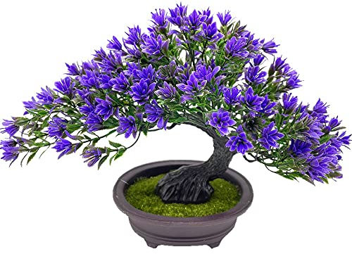 Fycooler Artificial Bonsai Tree Juniper Faux Plants Indoor Small Fake Plants Decor with Black Pots for Home Table Office Desk Bathroom Shelf Bedroom Living Room Farmhouse Decorations