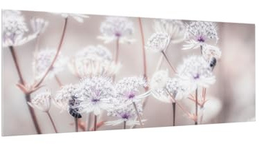 micasia Glas Spritzschutz inkl. Aufhängung 4 mm starke Küchenrückwand Blumen Glasrückwand - Made in Germany - Modern Gräser Wandpaneel braun Küche Herd Küchenspiegel 5941 (125x50cm)