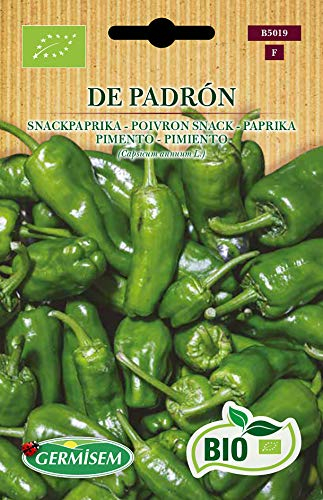 Germisem Paprika de PADRON, ECBIO5019