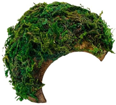 Kisangel Gecko-verstecke Und Reptilien-versteck Und Höhle Reptilien-Box-Ornament Hamster-versteckhöhle Dekorativer Unterschlupf Lebensechte Details Geeignet Für Tiere Sicherer Versteck