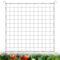 Tatxmalv Rete Piante 120 x 120 cm, Rete per Piante Rampicanti, con 4 Ganci, Elastica Rete Rampicante per Piante da Arrampicata, Rete di Crescita Delle per Verdure, Frutta, Fiore