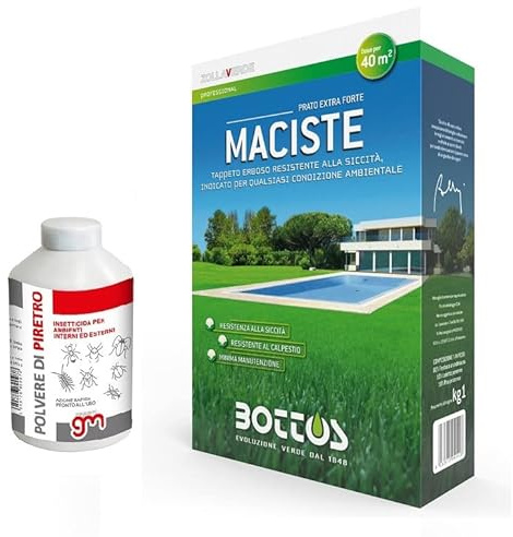 Maciste, Sementi per tappeto erboso Bottos 1Kg, prato resistente e rustico ideale per zone aride + insetticida PBK GM, salva-semi Antiformiche in Polvere di Piretro 250g