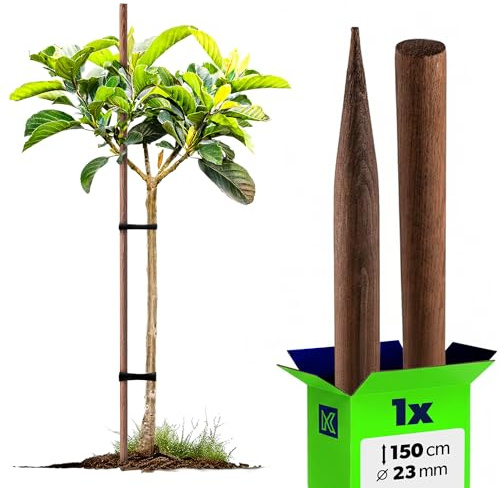 KADAX Trästång 150 cm x 23 mm, 1 styck, växtstav av impregnerat trä, växtstöd, trästolpe som växtstöd för växter, träd och buskar, trädstolpe
