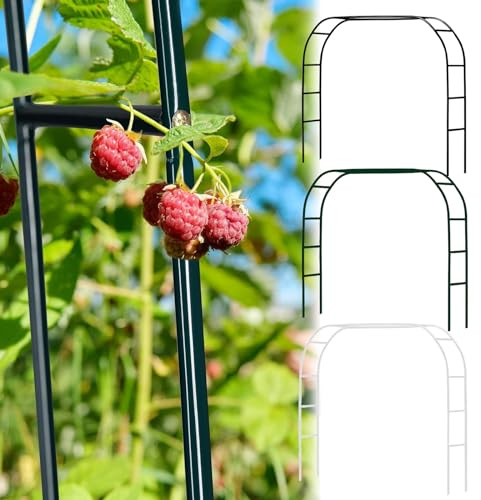Trädgårds- och bröllopsbågspaljé – 1,8 m 2,4 m fristående rosberså för klätterväxter, vinrankor och rosor – utomhus inomhus uteplats dekoration, extra bred valv