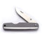 Whitby Pocket Knife, Stainless Steel Folding Knives Titanium Finish, Stylish High Performance, Non Locking EDC 2.25” Blade, Portable for Camping Hiking Backpacking