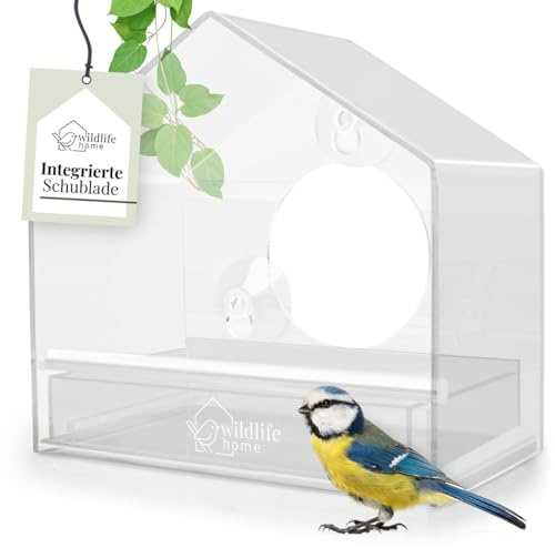 WILDLIFE HOME Mangeoire à fenêtre pour oiseaux sauvages I Transparent avec cassette d'alimentation amovible I Mangeoire à oiseaux avec ventouses Distributeur de nourriture pour oiseaux sauvages