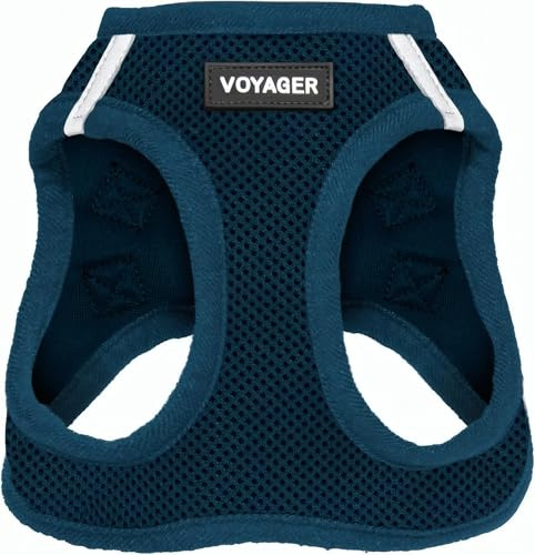 Voyager Step-In Air Dog Harness by Best Pet Supplies - All Weather Mesh Step in Vest Harness for Small and Medium Dogs, Blue, size M - Chest: 16 - 18