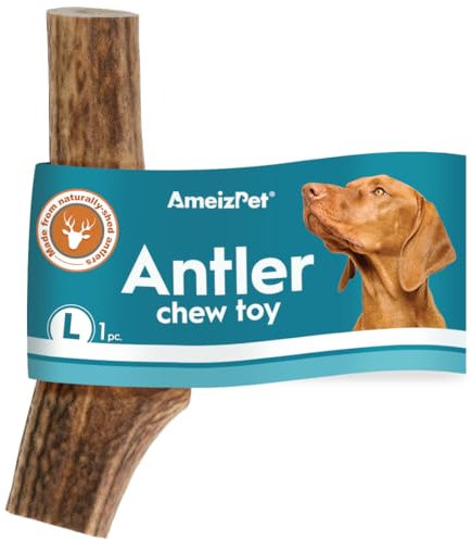 AmeizPet Cane Masticatore Di Corna, Osso Adatto A Cani Piccola E Grande Taglia, Giocattoli Resistenti Cani, Lunga Durata, Osso Naturale Cervo - Taglia L Corna Naturali Cervo 1 Pezzo