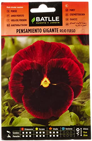 Semillas Batlle Pensamiento Gigante ROJO FUEGO