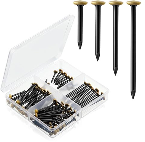 Gurxi 120 Pièces Clou tapissier (20/25/30/40mm) Clou beton Clous en Acier Inoxydable à Tête Dorée pour Béton Brique & Bois Sans Perçage Préserve les Murs Boîte de Rangement 4 Cases Incluse Noir