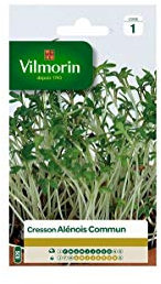Vilmorin - Sachet graines Cresson Alenois commun