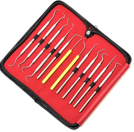 Premium Set of 12 Stainless Steel Precision Micro Probe Set Combo-Straight, Single, Short Double, Long Double, Triple and Hook Tips -Pick Tool Set 5.5(14CM) (Set of 5 Each)