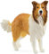schleich 13998 Collie, ab 3 Jahren, Farm World - Spielfigur, 2 x 8 x 6 cm
