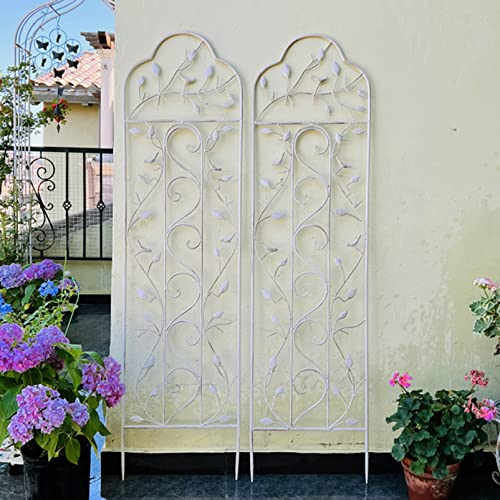 ZYFA 2er Set,Metall-Rankgitter Rankhilfe Garten Kletterhilfe Rankhilfe Rankzaun Rosengitter Beetzaun Spalier Beeteinfassung Rundbogen Pflanzengitter Zum Stecken,für Kletterpflanzen