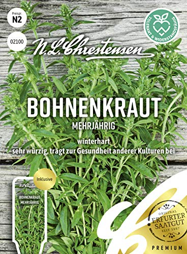 Bohnenkraut Mehrjährig Samen, Saatgut