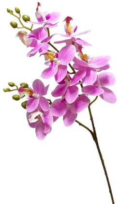 HUFFA Mini Flor de simulación Phalaenopsis de 2 Tenedores, Flor Seca única for decoración de Bodas y hogares(Lightpurple)