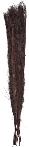 Deco 79 Dried Plant Pampas Grass Natural Foliage Tall , 4 x 1 x 35, Brown