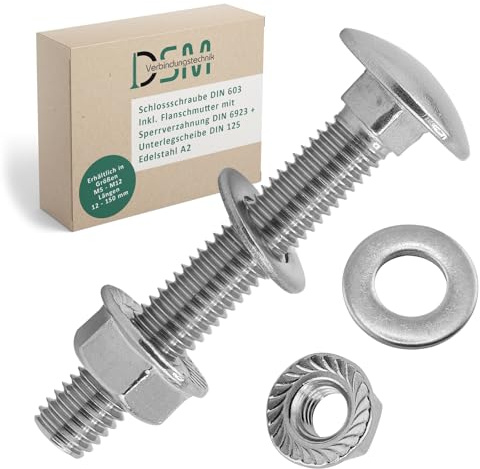DSM – Tornillos M10 x 120 mm según DIN 603 – Tuerca de brida M10 con dentado de bloqueo DIN 6923 y arandela DIN 125 – Acero inoxidable A2/V2A – Tornillos de cabeza redonda plana – Tuerca hexagonal – 2
